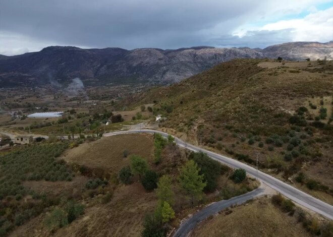 Yangın Alanları Yeniden Canlanıyor